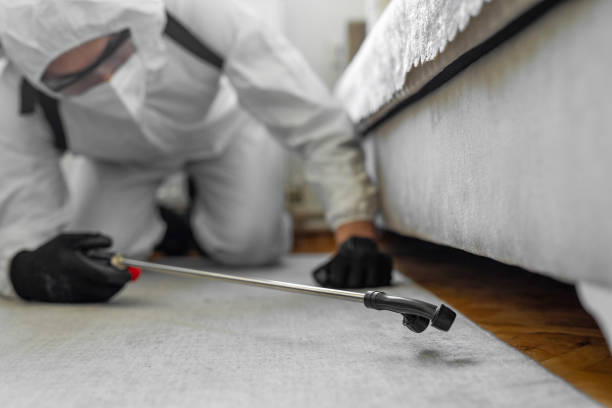 Professional Cockroach Control technician working in Clay County County, KS